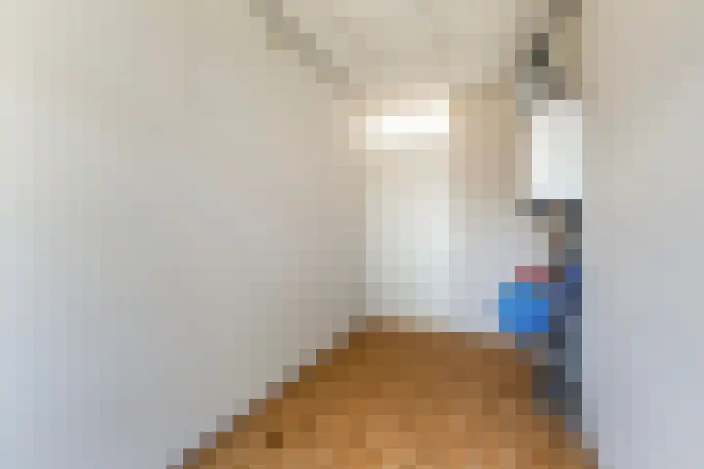 Lieuwkemastraat 3 Makkum thumbnail 42