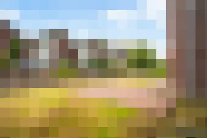 Lieuwkemastraat 7 Makkum thumbnail 10