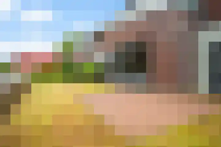 Lieuwkemastraat 7 Makkum thumbnail 11
