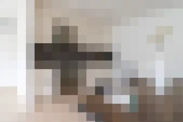 Lieuwkemastraat 7 Makkum thumbnail 22
