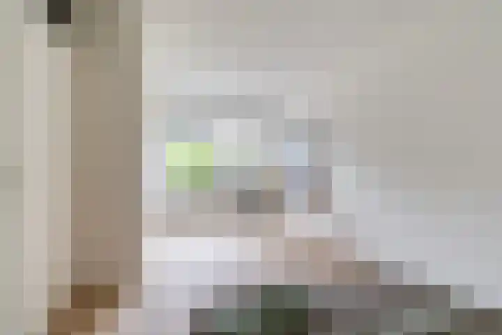 Lieuwkemastraat 7 Makkum thumbnail 32