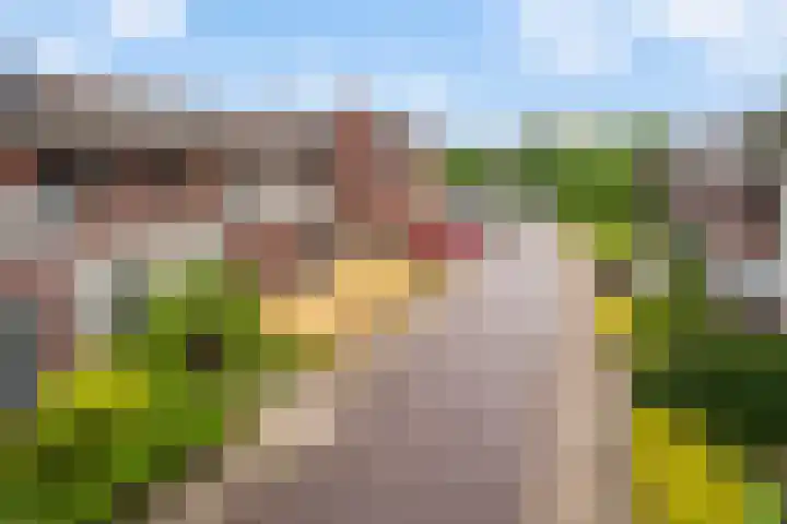 Lieuwkemastraat 7 Makkum thumbnail 36