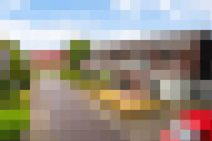 Lieuwkemastraat 7 Makkum thumbnail 37