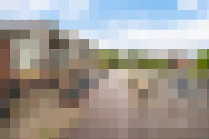 Lieuwkemastraat 7 Makkum thumbnail 38