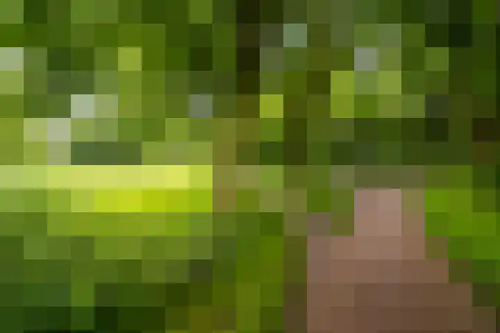 Lieuwkemastraat 7 Makkum thumbnail 39