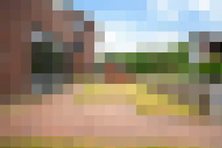 Lieuwkemastraat 7 Makkum thumbnail 9