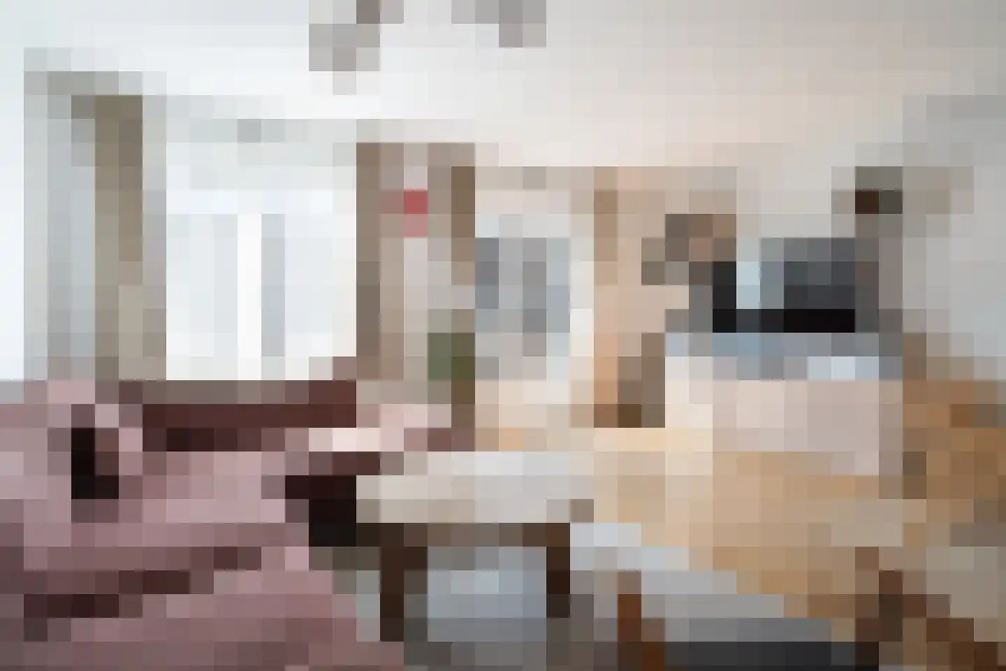 Lieve Verschuierstraat 16 Rotterdam thumbnail 17
