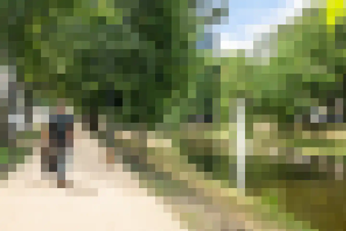 Lieve Verschuierstraat 16 Rotterdam thumbnail 36