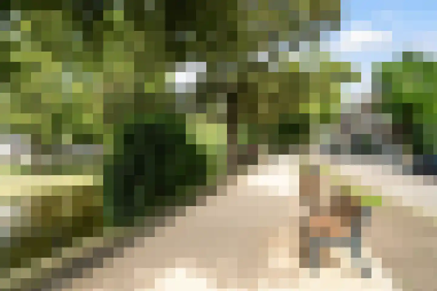 Lieve Verschuierstraat 16 Rotterdam thumbnail 37