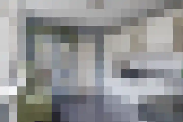 Lieve Vrouwegracht 10 Montfoort thumbnail 11
