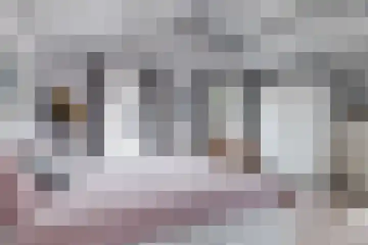 Lieve Vrouwegracht 10 Montfoort thumbnail 19