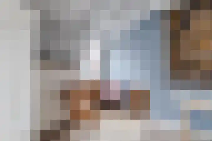 Lieve Vrouwegracht 10 Montfoort thumbnail 20