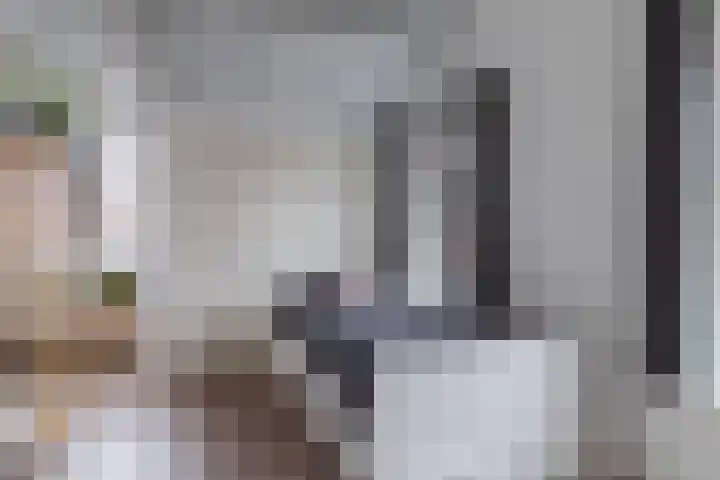 Lieve Vrouwegracht 10 Montfoort thumbnail 21