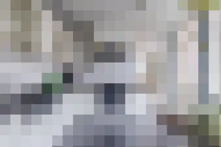 Lieve Vrouwegracht 10 Montfoort thumbnail 4