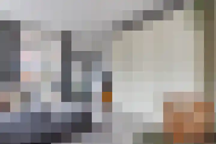 Lieve Vrouwegracht 10 Montfoort thumbnail 7