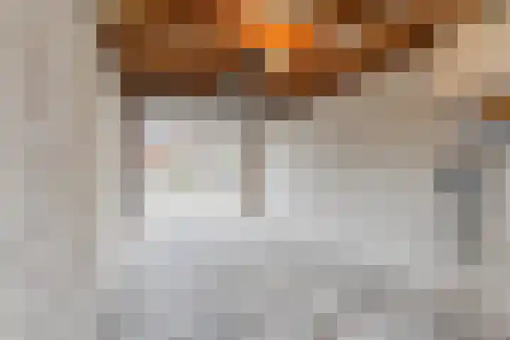Lieve Vrouwegracht 11 Montfoort thumbnail 32