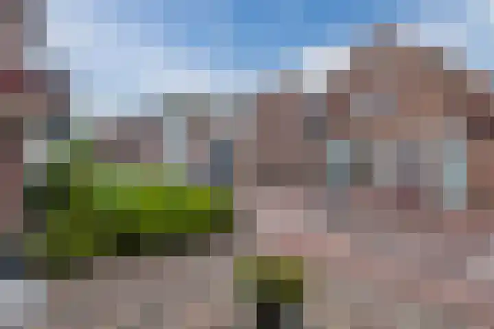 Lieve Vrouwegracht 11 Montfoort thumbnail 5