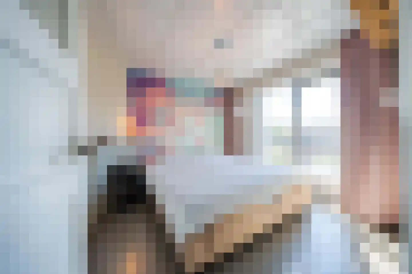 Lieve Vrouwegracht 27 Montfoort thumbnail 26