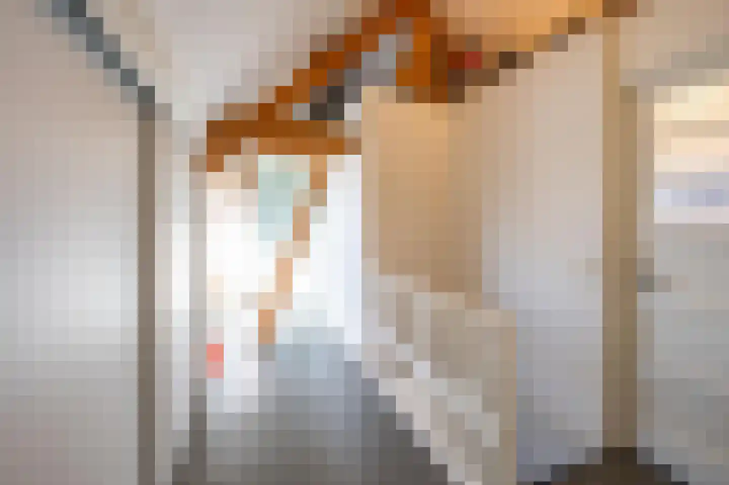 Lieve Vrouwegracht 27 Montfoort thumbnail 34