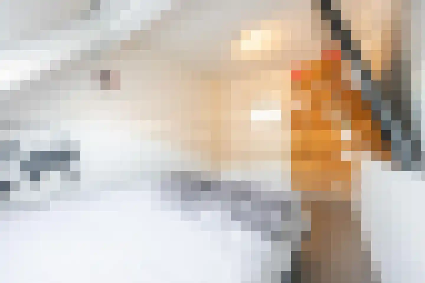 Lieve Vrouwegracht 27 Montfoort thumbnail 40