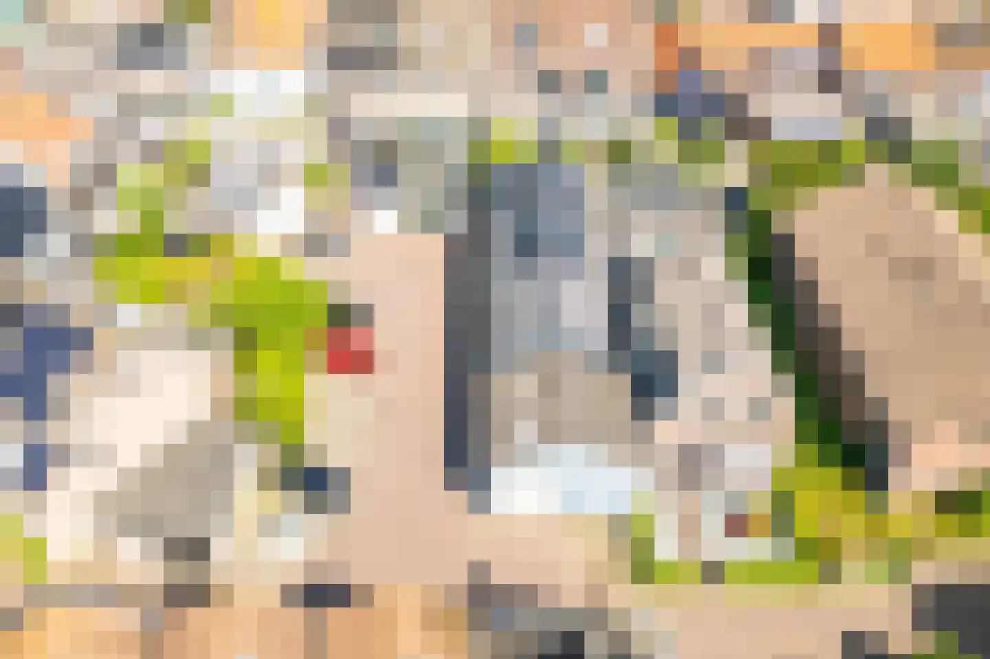 Lieve Vrouwegracht 27 Montfoort thumbnail 46
