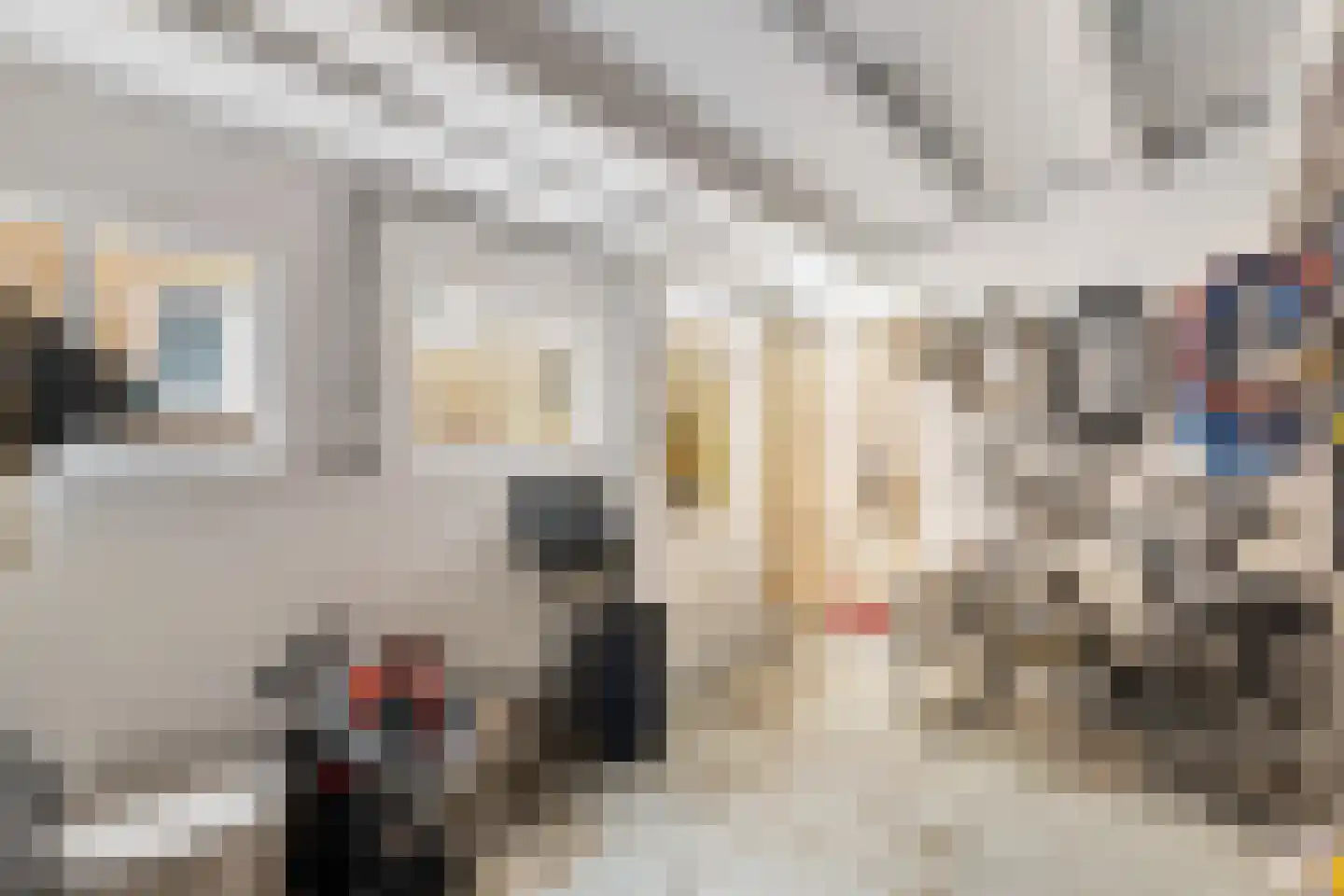Lieve Vrouwegracht 7 Montfoort thumbnail 17