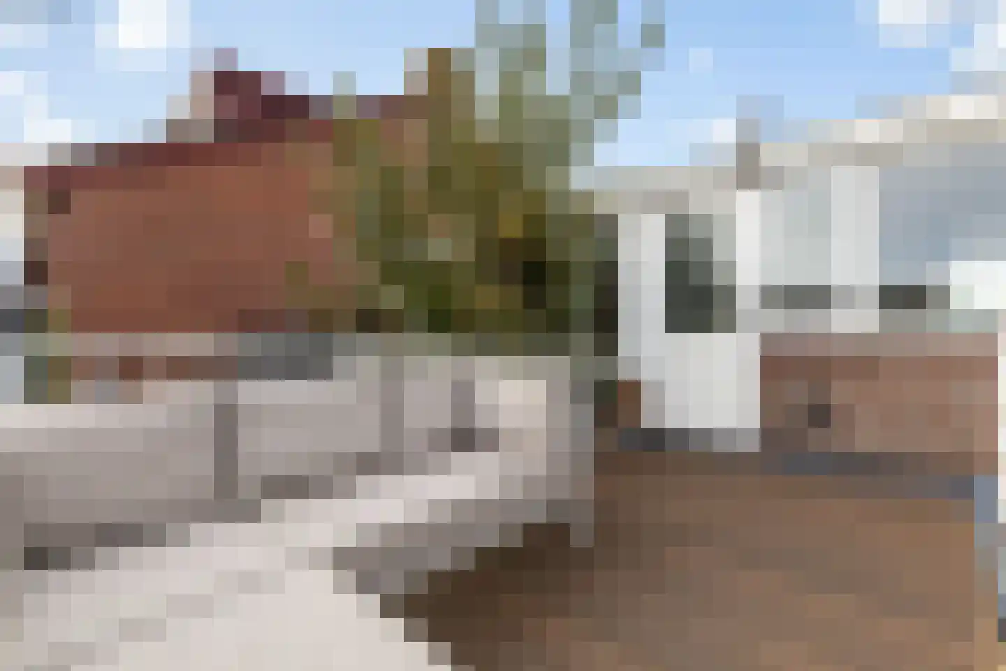 Lieve Vrouwegracht 7 Montfoort thumbnail 26