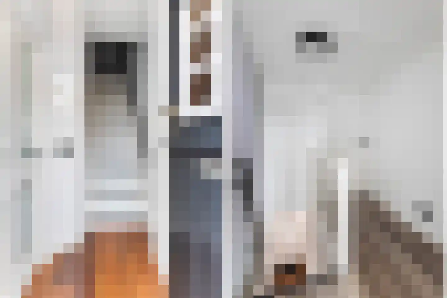 Lieve Vrouwegracht 7 Montfoort thumbnail 6