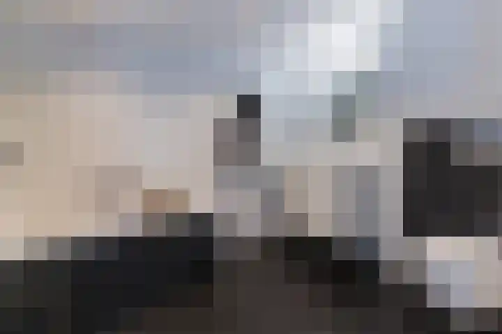 Lieve Vrouwegracht 9 Montfoort thumbnail 21