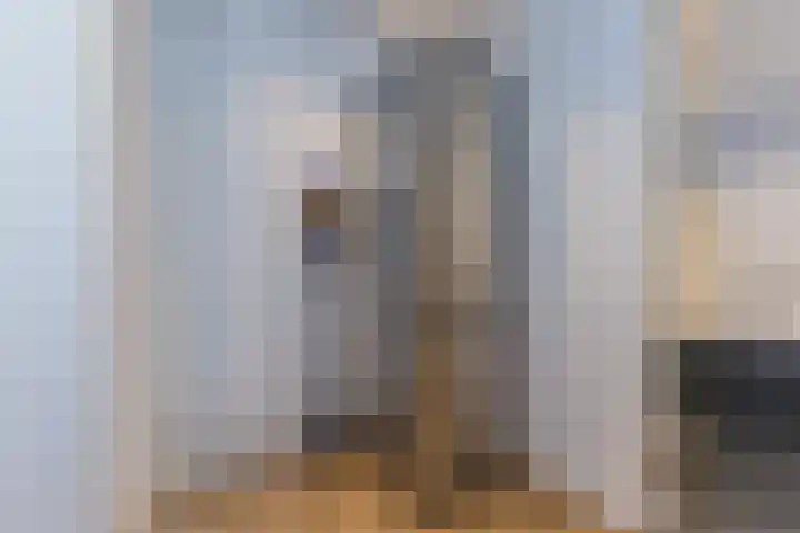 Lieve Vrouwegracht 9 Montfoort thumbnail 23