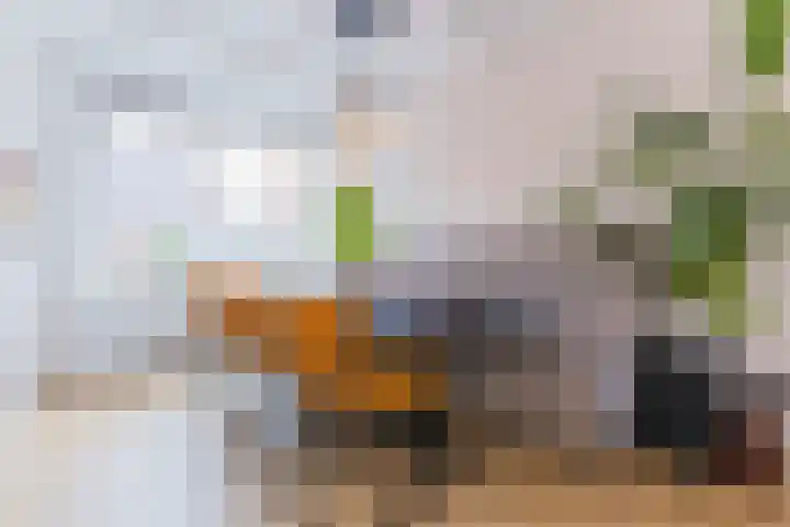 Lieve Vrouwegracht 9 Montfoort thumbnail 7