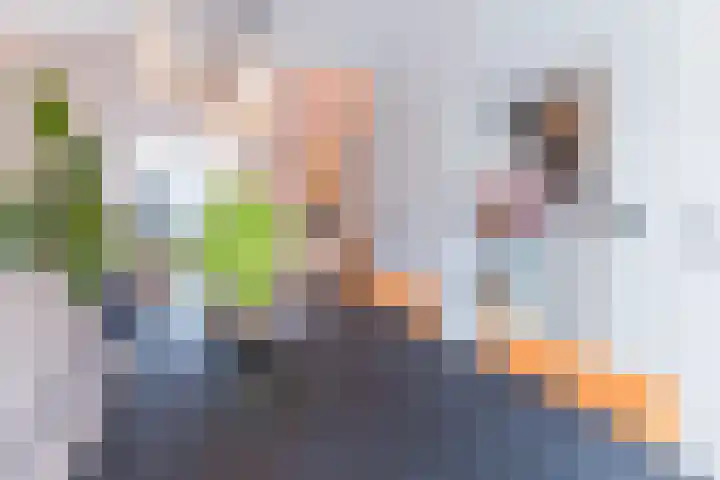 Lieve Vrouwegracht 9 Montfoort thumbnail 8