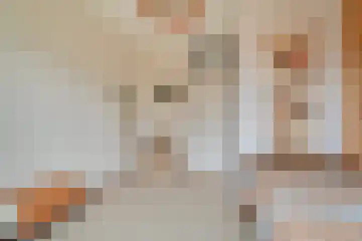 Lieve Vrouwenerf 60 Nunspeet thumbnail 17