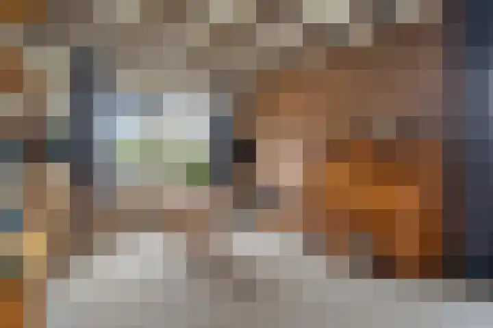 Lieve Vrouwenerf 60 Nunspeet foto 2