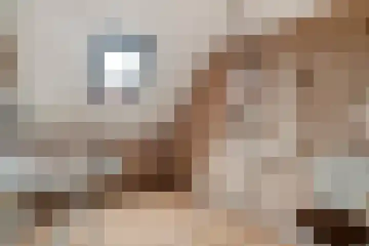Lieve Vrouwenerf 60 Nunspeet thumbnail 22