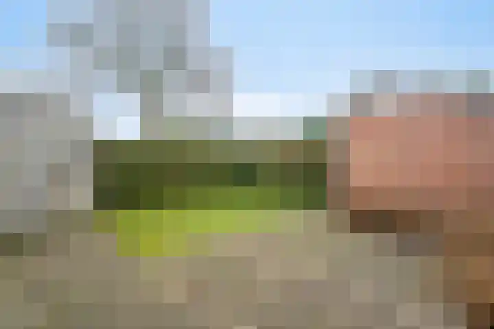 Lieve Vrouwenerf 60 Nunspeet thumbnail 26