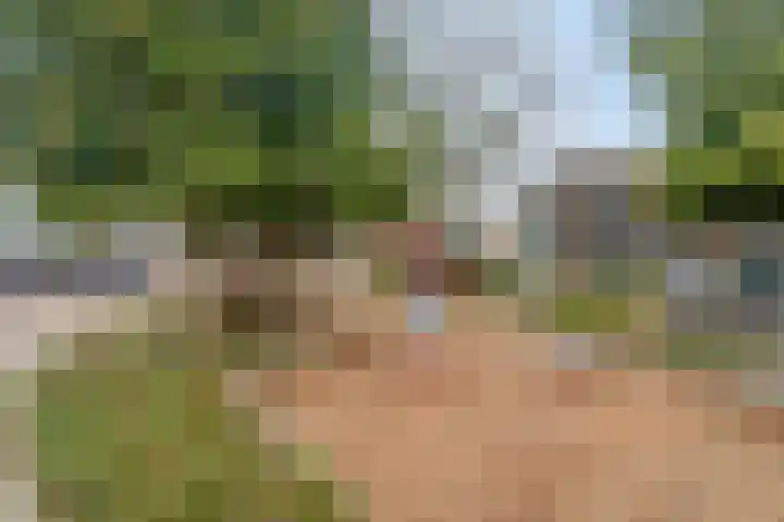 Lieve Vrouwenerf 60 Nunspeet thumbnail 31