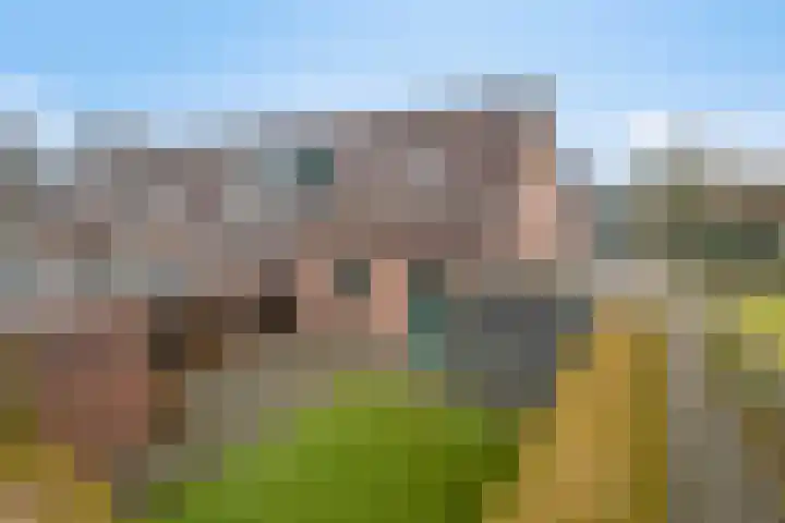 Lieve Vrouwenerf 60 Nunspeet thumbnail 32
