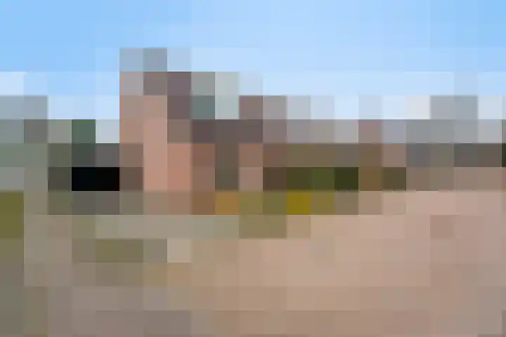 Lieve Vrouwenerf 60 Nunspeet thumbnail 5