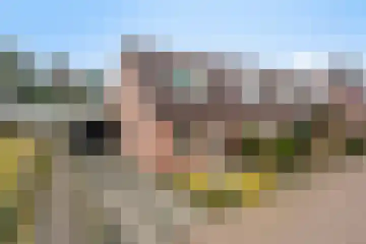 Lieve Vrouwenerf 60 Nunspeet thumbnail 6
