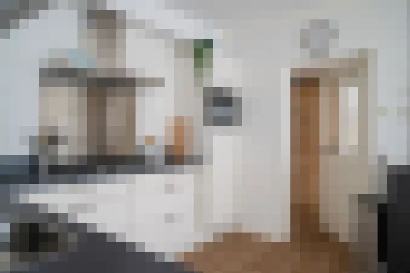 Lieve Vrouwenerf 72 Nunspeet thumbnail 14
