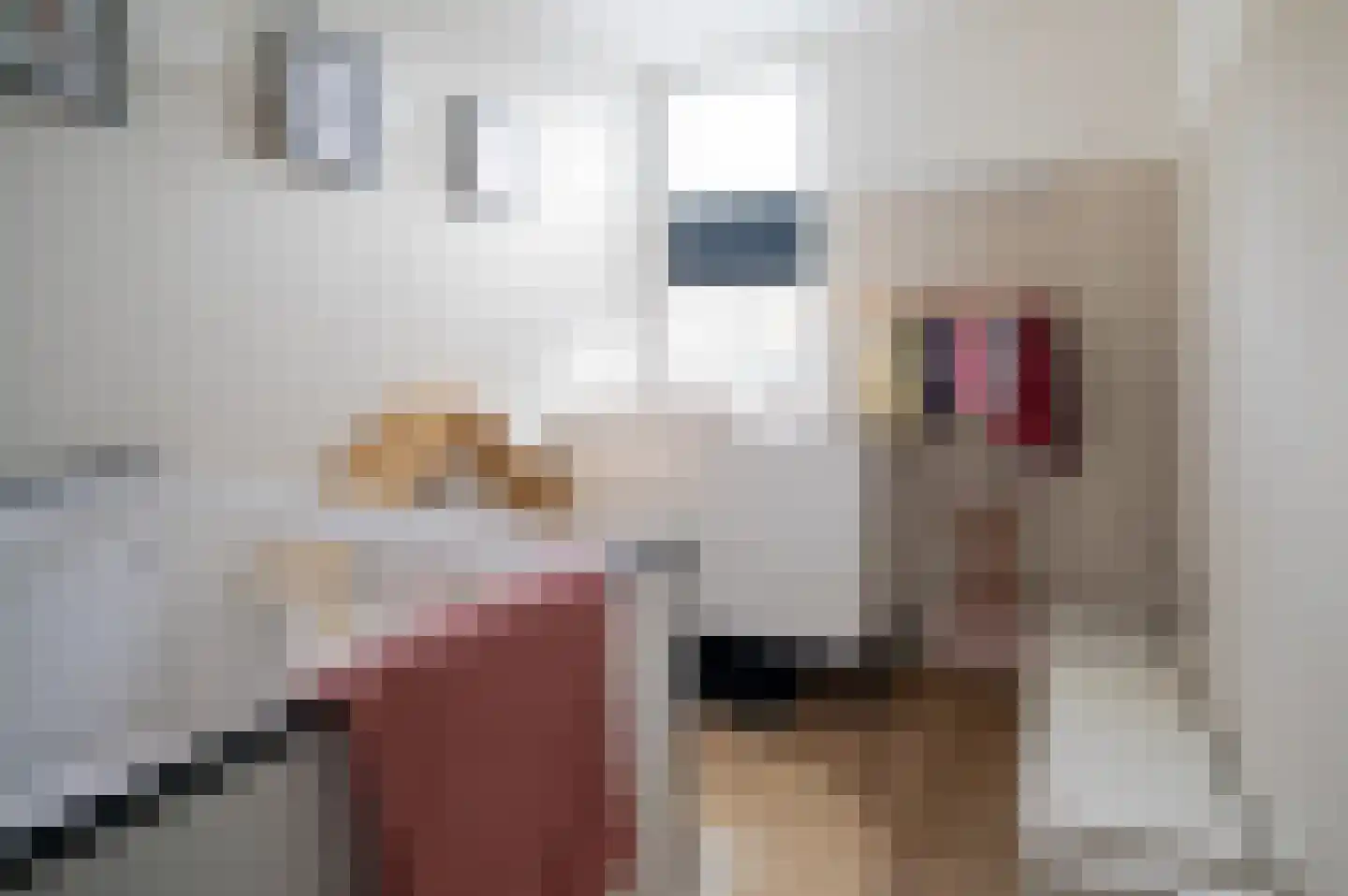 Lieve Vrouwenerf 72 Nunspeet thumbnail 17