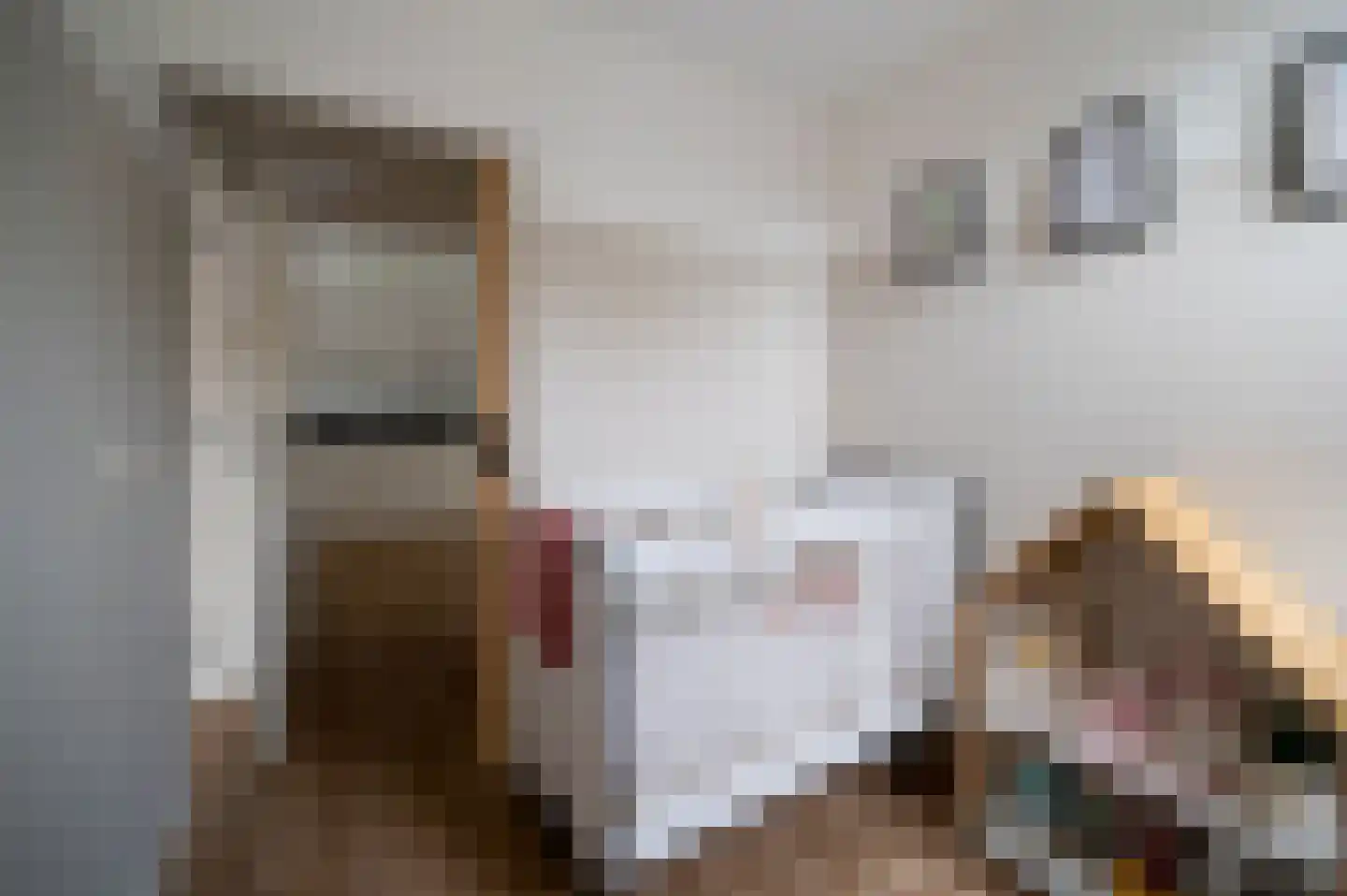 Lieve Vrouwenerf 72 Nunspeet thumbnail 18