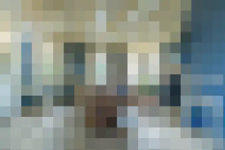 Lieve Vrouwepoldersedijk 14 Stad aan 't Haringvliet thumbnail 10