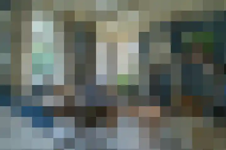 Lieve Vrouwepoldersedijk 14 Stad aan 't Haringvliet thumbnail 11