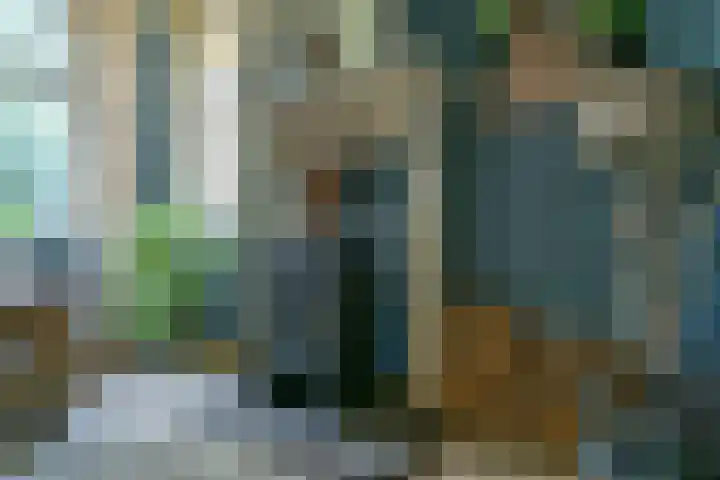 Lieve Vrouwepoldersedijk 14 Stad aan 't Haringvliet thumbnail 12