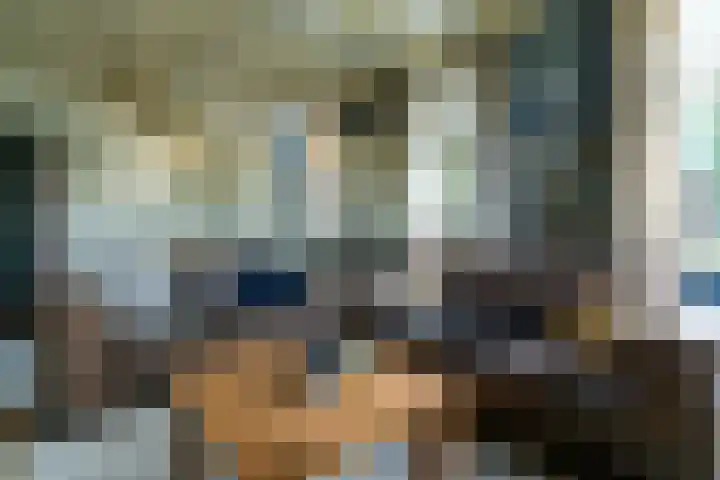 Lieve Vrouwepoldersedijk 14 Stad aan 't Haringvliet thumbnail 13