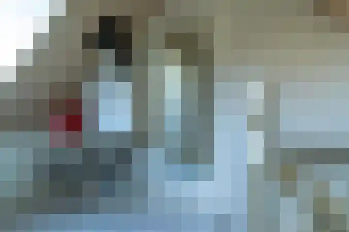 Lieve Vrouwepoldersedijk 14 Stad aan 't Haringvliet thumbnail 14