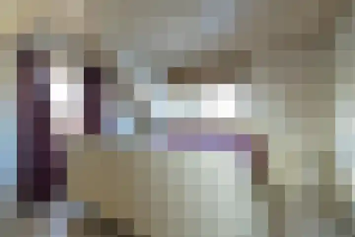 Lieve Vrouwepoldersedijk 14 Stad aan 't Haringvliet thumbnail 15