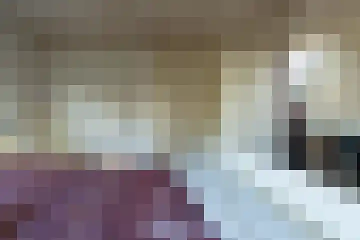Lieve Vrouwepoldersedijk 14 Stad aan 't Haringvliet thumbnail 16